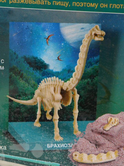 Набор "Раскопай скелет. Брахиозавр" 4M - Деталь