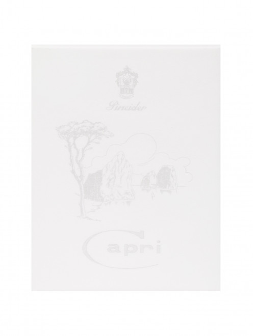 Футляр Capri на 25 открыток и 25 конвертов Pineider - Общий вид