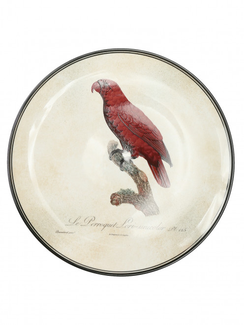 Тарелка настенная с узором Ginori 1735 - Общий вид